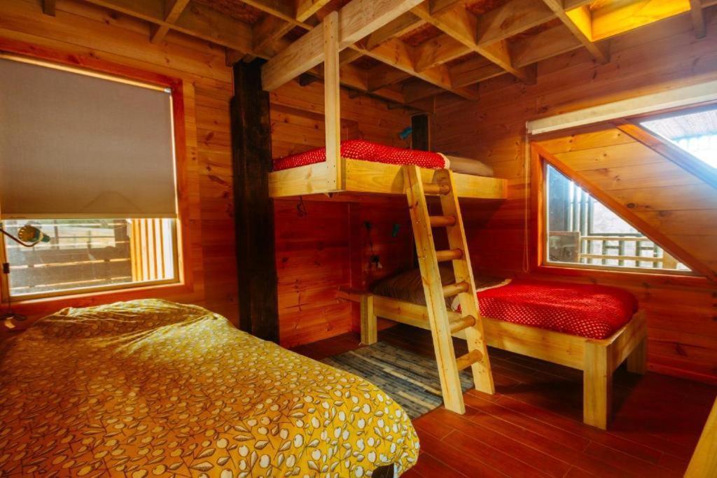 Sirena Insolente Hostel & Suites Пичилему Экстерьер фото